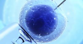Warszawa zapłaci za in vitro
