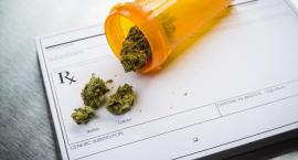 Medyczna marihuana puka do aptek