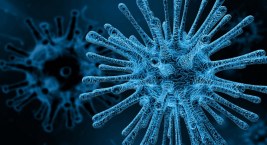 Vaccine Safety Net - szczepionka na dezinformację w internecie