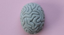 Dokąd zmierza neurologia w 2023?