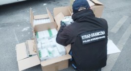 Nielegalny wywóz leków. Zabezpieczono 75 tys. opioidowych leków przeciwbólowych