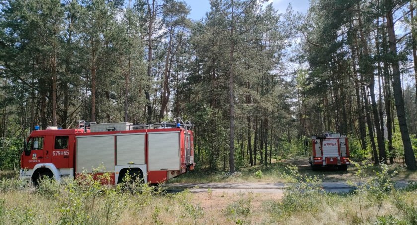 Przed południem pojawił się dym nad lasem w Maliszewie