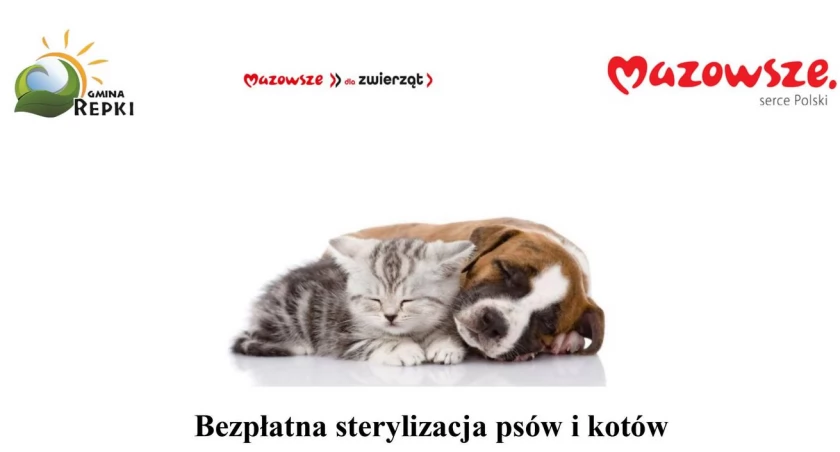 Gmina Repki prowadzi bezpłatną sterylizację psów i kotów
