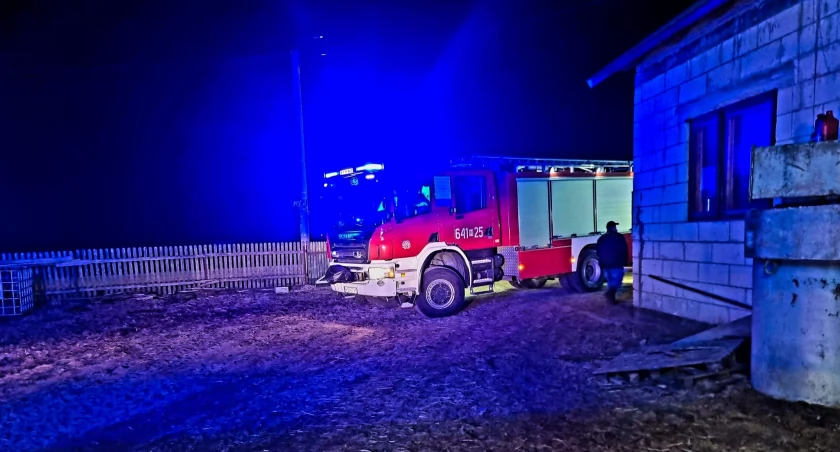 Walczyli z pożarem w stolarni
