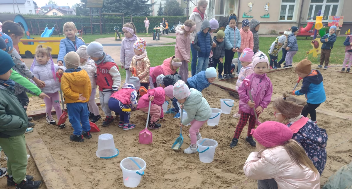 Świętowali Dzień Ziemniaka. A wykopki zrobili w piaskownicy...