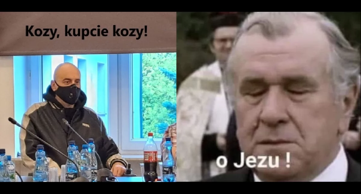 Internauci o pomyśle z kozami w OSiR. [MEMY]