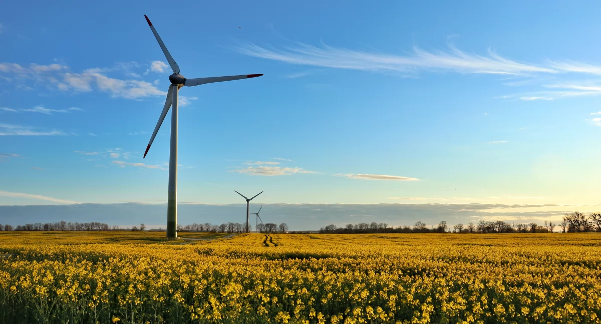 Energia z wiatru, czyli inwestycja, która przynosi korzyści dla wszystkich