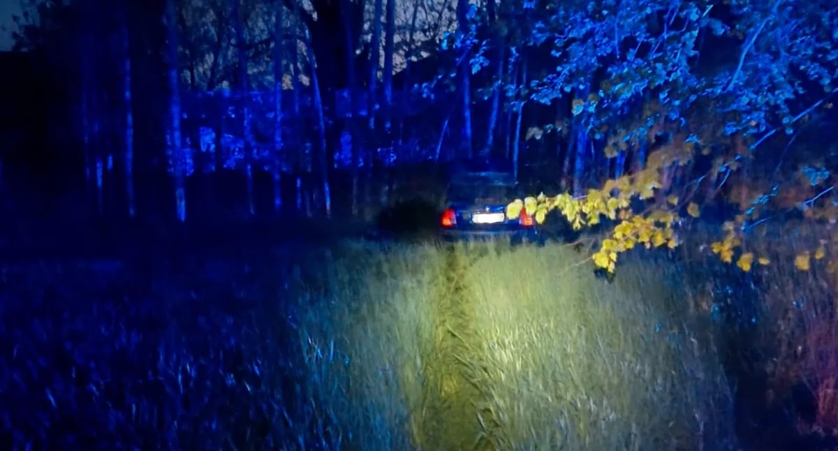 83-latek uderzył autem w drzewo, trafił do szpitala