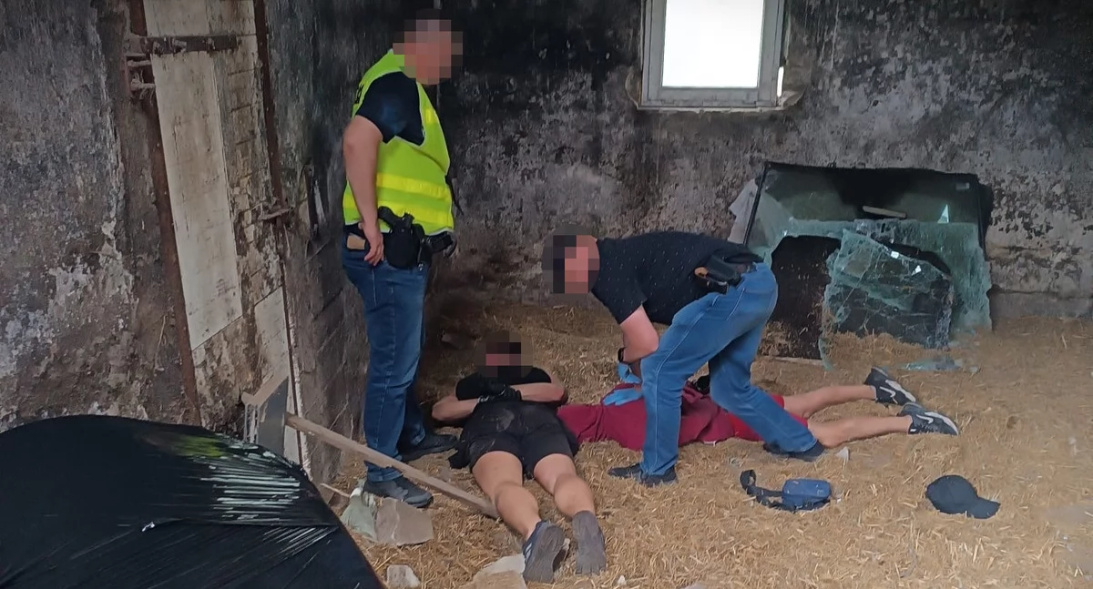 Sokołowscy policjanci zlikwidowali dziuplę samochodową. W środku były dwa lexusy.