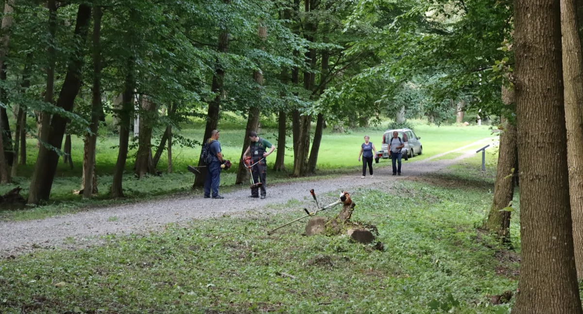 Mieszkańcy po raz kolejny wspólnie zadbali o park w Repkach