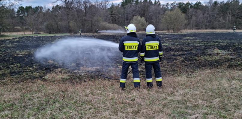 Znów zrobiło się sucho i strażacy muszą gasić