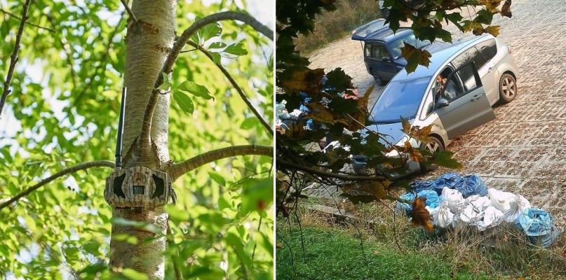 Kosów Lacki kupi kamery - fotopułapki. Kogo samorząd chce namierzyć?