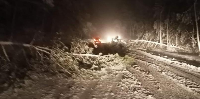 Strażacy i energetycy usuwają skutki śnieżycy