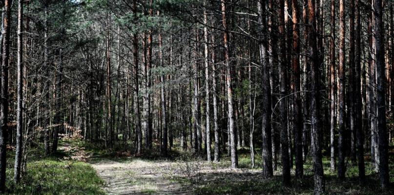 Jest źle, a może być jeszcze gorzej. Zakażą wstępu?
