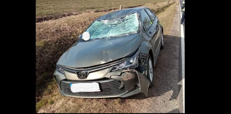 Tak wygląda toyota po zderzeniu z łosiem...