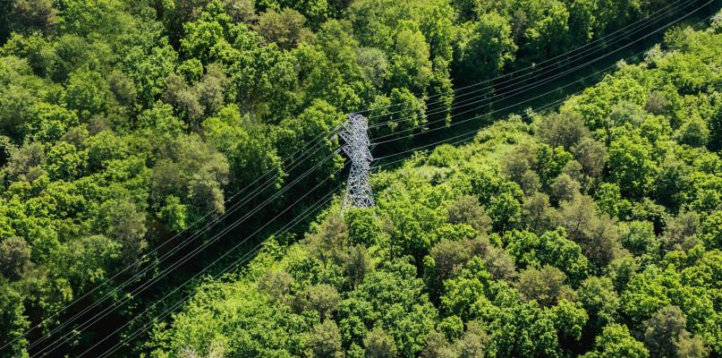 PGE organizuje warsztaty dla partnerów z obszaru dystrybucji energii