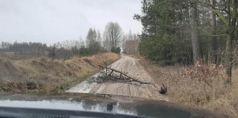 Od rana strażacy mają pełne ręce roboty