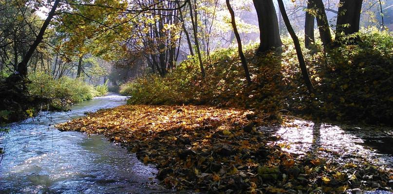 Koniec darmowych wejść. To może być odczuwalne dla kieszeni turystów