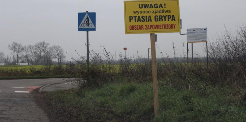 Wojewódzki Zespół Zarządzania Kryzysowego o ptasiej grypie