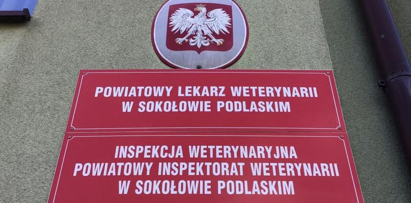 Ptasia grypa. 26 tysięcy indyków do zagazowania.
