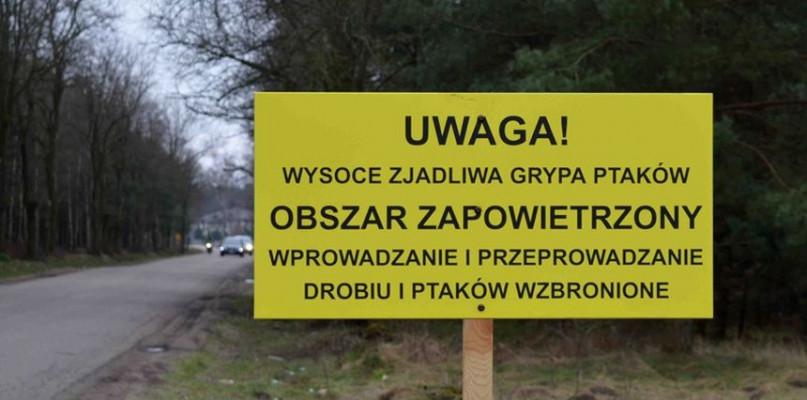 Mamy pierwsze ognisko ptasiej grypy w powiecie