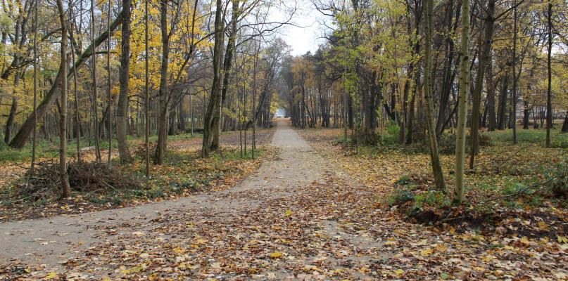 Zabytkowy park w Repkach odzyskuje dawny blask