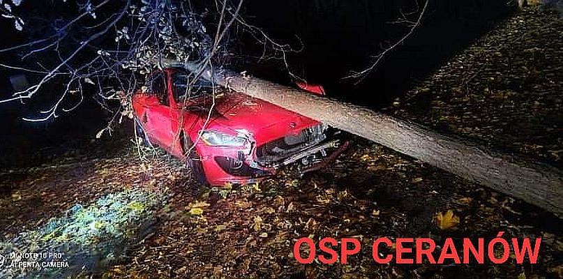 Policja o uszkodzonym maserati w Adolfowie