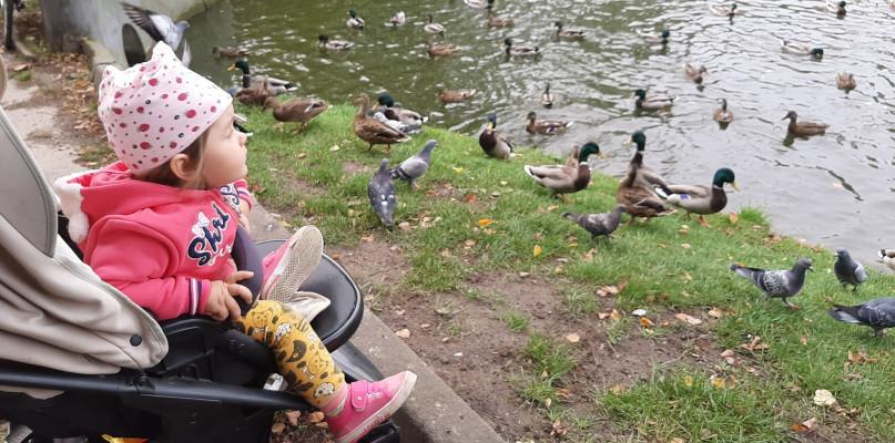 Sabnie wśród 30 najbardziej wyludniających się polskich gmin i miast