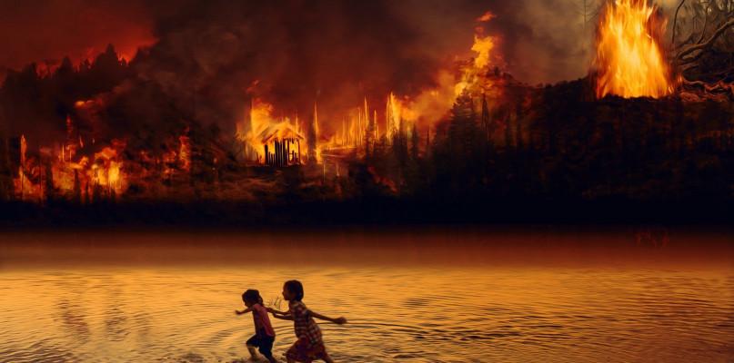 Fatalne skutki zmian klimatu! Naukowcy grzmią: 