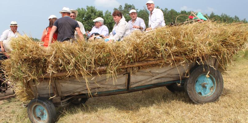Można było zobaczyć, jak dawniej wyglądały żniwa