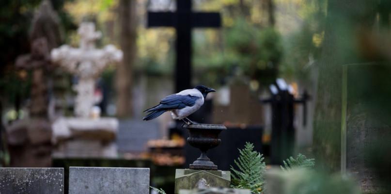 Tak było w ubiegłym roku! Prawie 68 tys. zgonów więcej niż w 2019 roku