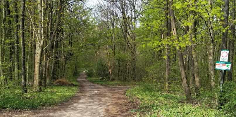 Repki. W najbliższą sobotę kolejna akcja 