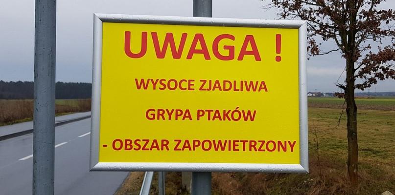 Ptasia grypa w gminie Mokobody, a u nas kolejne obostrzenia