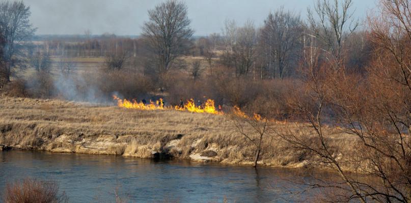 ARiMR przypomina - wypalanie traw grozi utratą dopłat