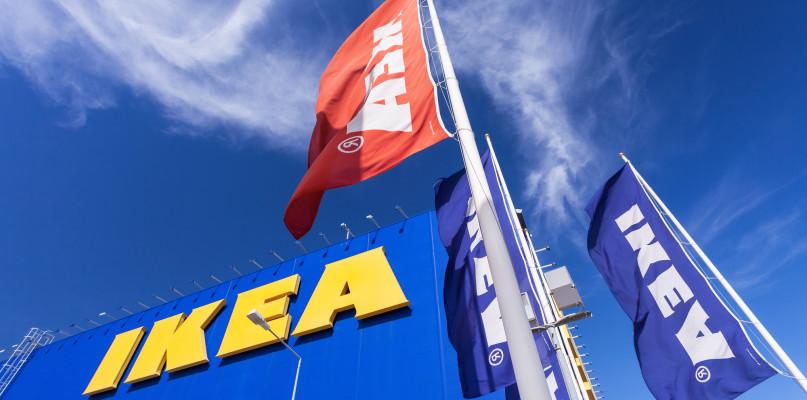 Rewolucja w sieci Ikea! Takich produktów się tam nie spodziewałeś