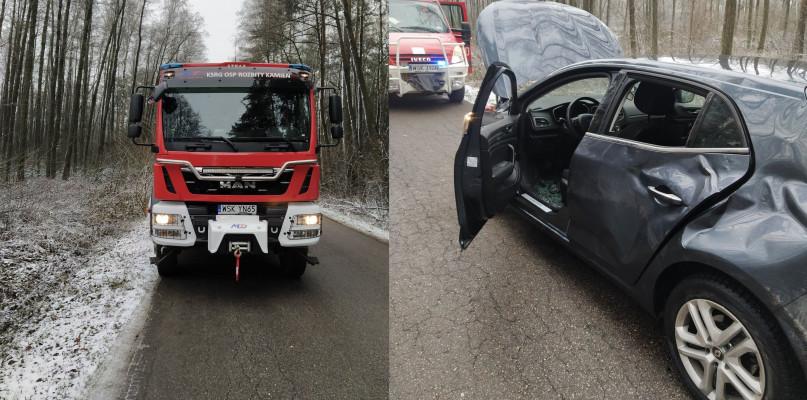 Kierowca trafił do szpitala po zderzeniu z łosiem