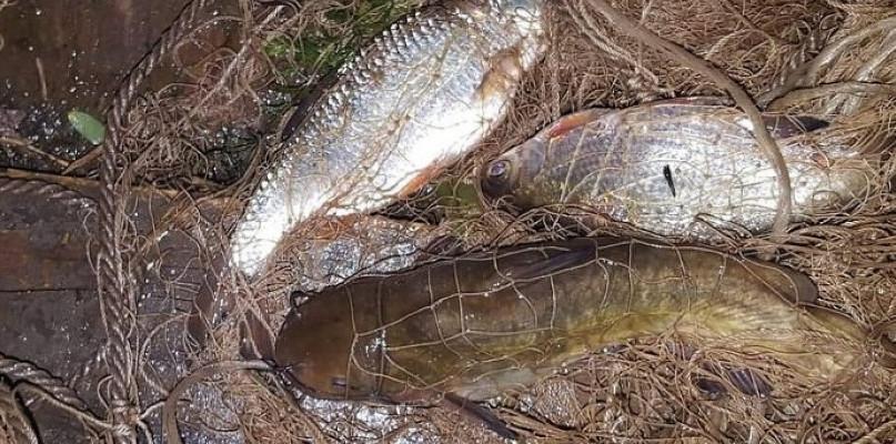 W nocy nielegalnie łowili ryby, wpadli