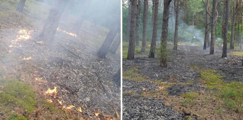 Podpalenie? Palił się las w gminie Kosów Lacki.