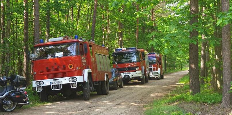 Kilkudziesięciu policjantów i strażaków szukało 10-latki