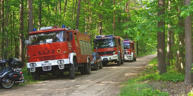 Święto spędzili na poszukiwaniach zaginionego mężczyzny