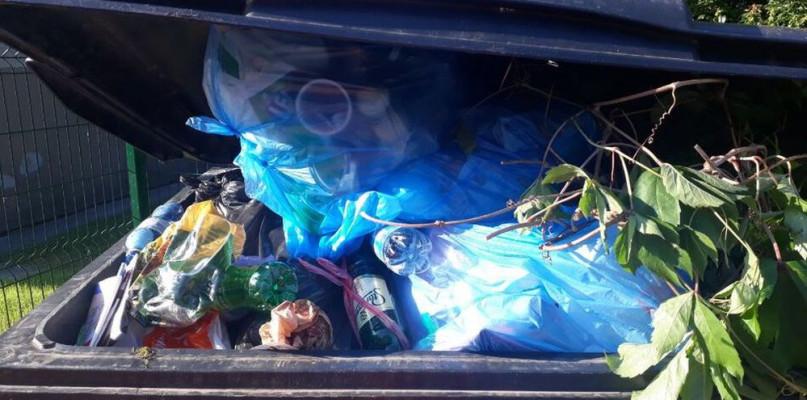 Sabnie: gmina skontroluje, jak mieszkańcy segregują odpady