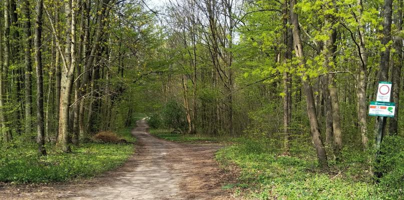 Gmina przejęła zabytkowy park w Repkach