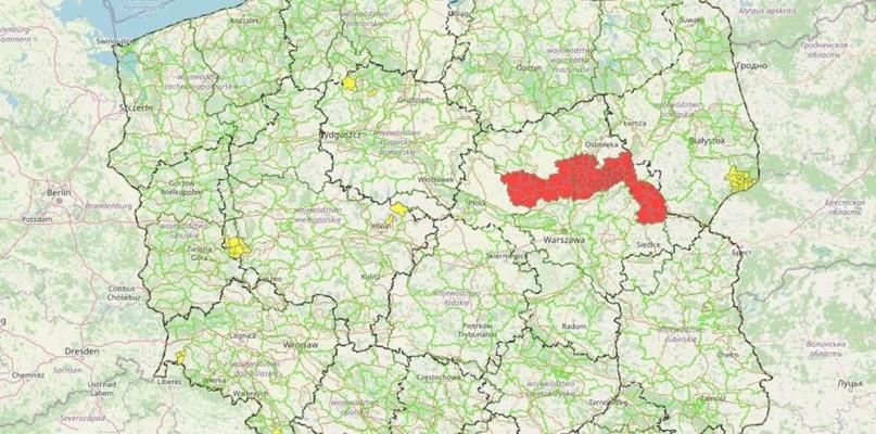 Nadleśnictwo Sokołów ogłosiło zakaz wstępu do lasów