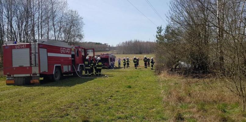 Pracowite święta strażaków. Płonęły trawy, słoma i zarośla.