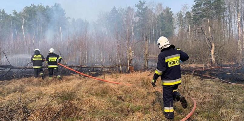 Tym razem spłonął ponad hektar traw i krzaków