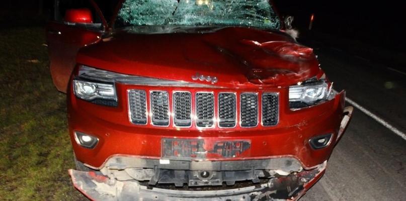 Tak wygląda jeep po zderzeniu z łosiem...
