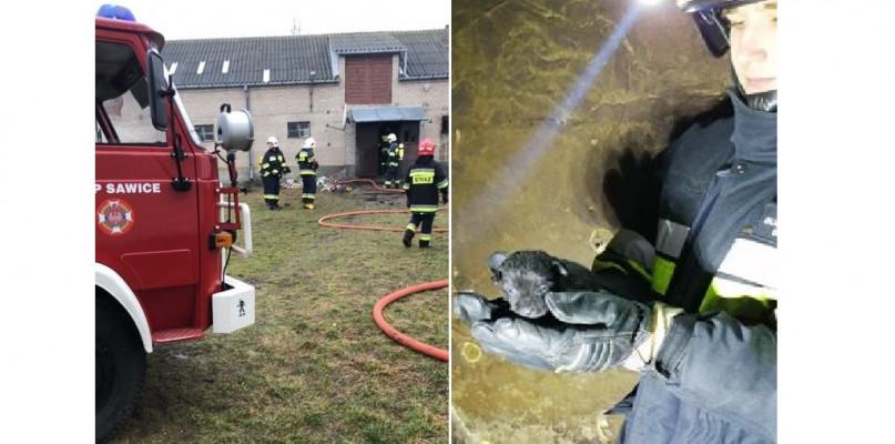 Strażacy uratowali z pożaru kilka maluchów...