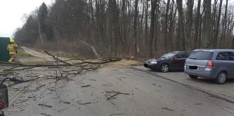 Wichura nad powiatem. Szkody w Repkach.