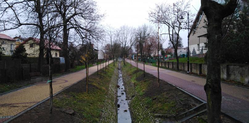 Na Bulwarze nad Cetynią zasadzono prawie 80 drzew