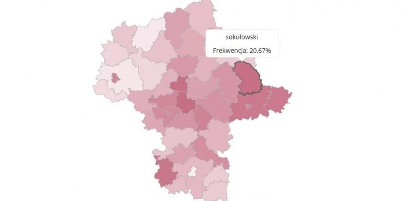 Frekwencja w powiecie sokołowskim najwyższa w regionie